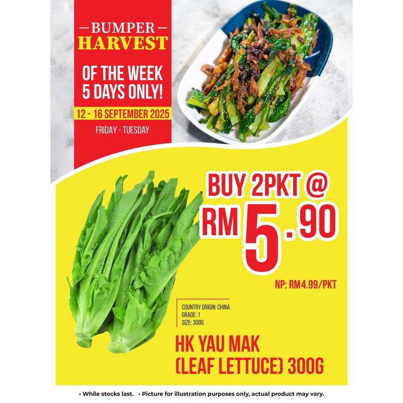 (BUY 2 @RM5.90) HK YAU MAK (LEAF LETTUCE) 300G