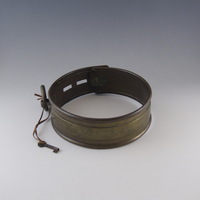 Brass Dog Collar