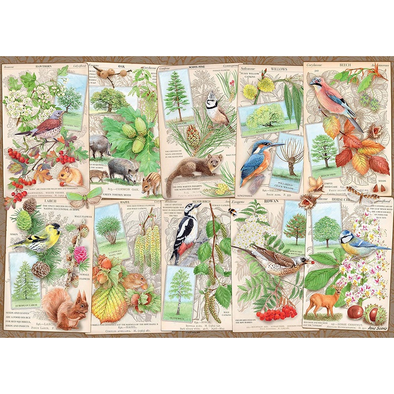 Wondrous Trees  1000 Piece Jigsaw Puzzle (Ravensburger)