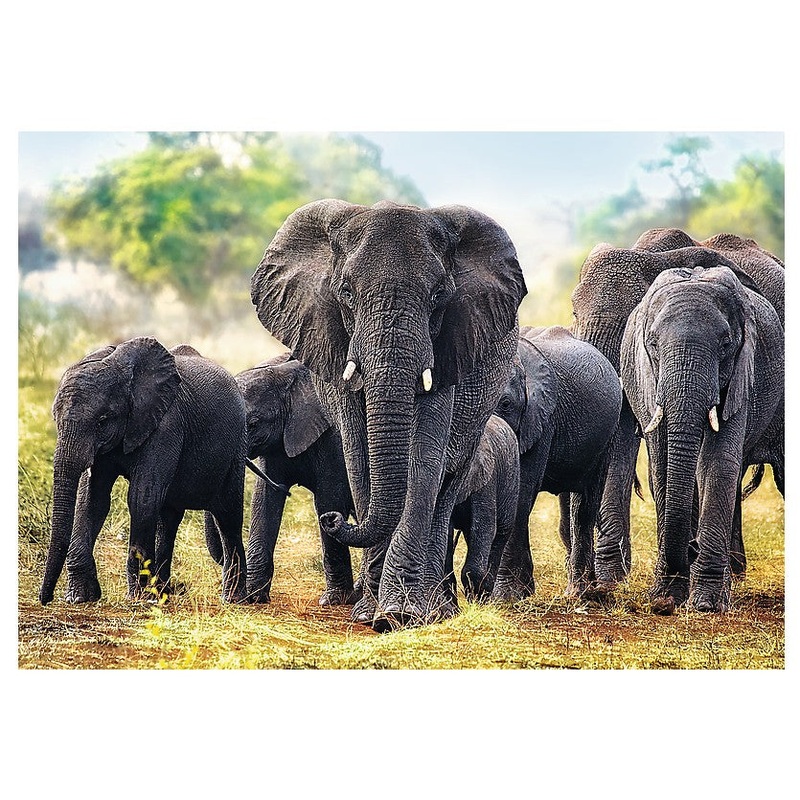 African Elephants  1000 Piece Jigsaw Puzzle (Trefl)